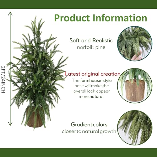 2ft Premium Artificial Norfolk Pine Tree with Realistic Wood Pot - Holiday & Indoor Decor