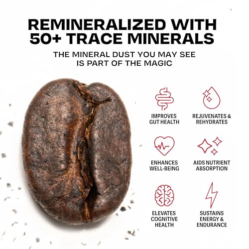 Danger Coffee Compostable Pods by Dave Asprey | Medium Roast 12