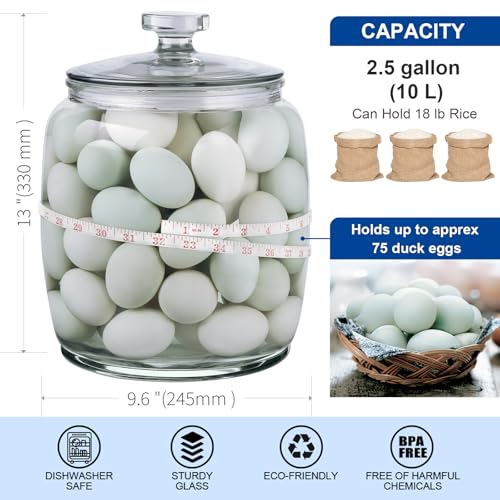 Large 2.5 Gallon Glass Storage Jar with Wide Mouth and Lid - Food & Kitchen