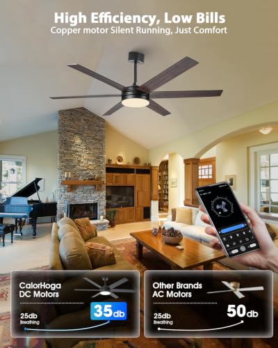 60 Inch Ceiling Fan with Lights Remote & App Control - Black