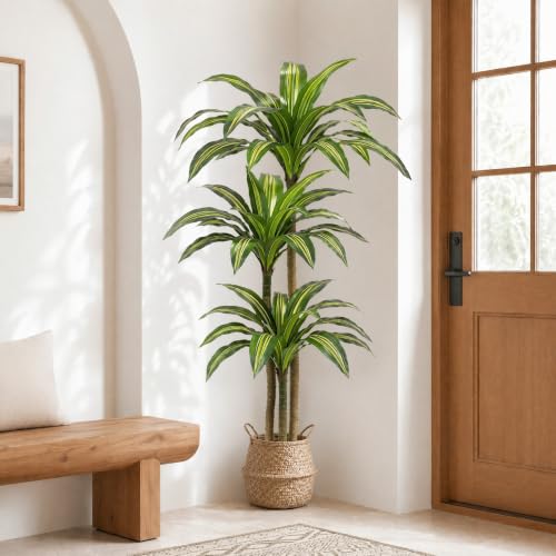 FLEURIFI 6FT Artificial Dracaena Tree with 3 Thick Trunks - Faux Indoor Floor Plant