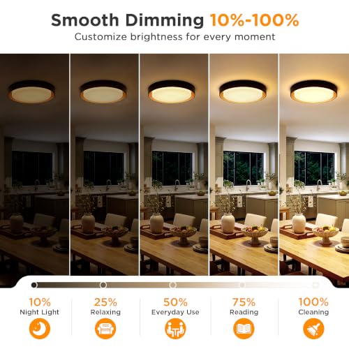 Matte Black 2-Pack Flush Mount LED Ceiling Lights - Dimmable 13in 3000K Daylight, Energy-Efficient Modern Lamp