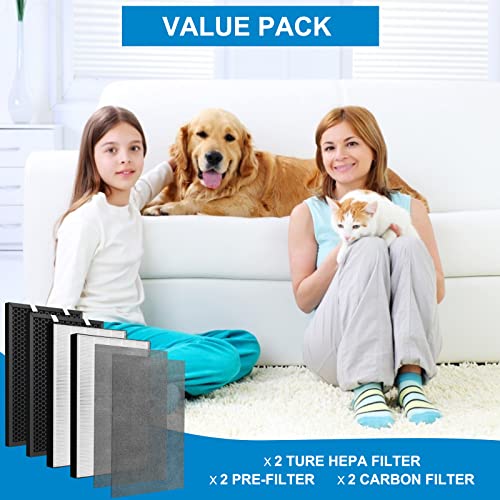 XY100T 2 HEPA + 2 Carbon Filter Replacement for Bissell Air220 & Air320 - Compatible Filters