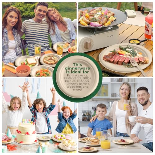 Brown 250-Piece Biodegradable Paper Plate and Utensil Set – Eco-Friendly Disposable Dinnerware for Parties and Camping