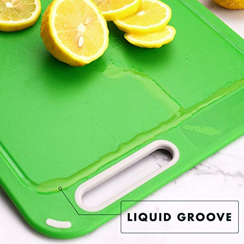 Aichoof Set of 4 Color Coded Cutting Boards with Holder – BPA-Free Kitchen Utensils