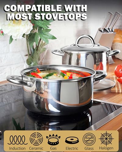 16 Quart Stainless Steel Stock Pot with Lid - Large Cooking Pot for Soup & Pasta, Silver Variation