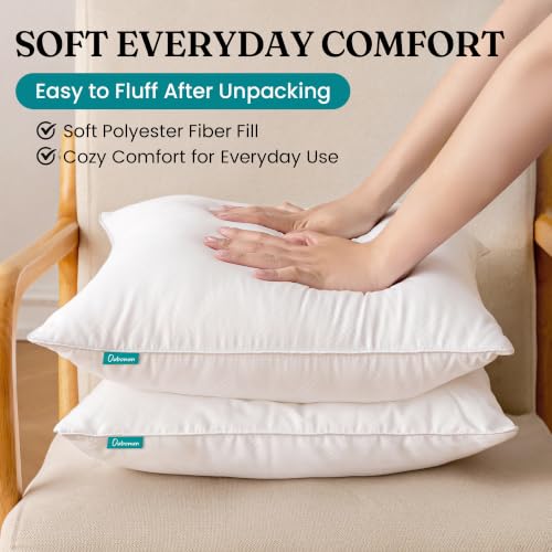 20x20 Inch Throw Pillow Inserts Set of 4 - Soft Square Cushion Inner