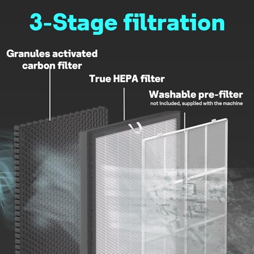 Air Purifier Replacement Filter 2 Pack for Levoit EverestAir-P - HEPA Carbon