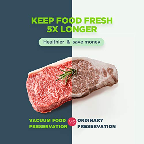 Potane Precision Vacuum Sealer Machine - Silver 8-in-1 Food Preservation