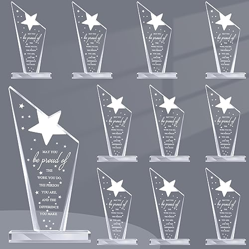 Stylish Bucherry 10 Pcs Employee Appreciation Acrylic Trophies - Thank You Awards