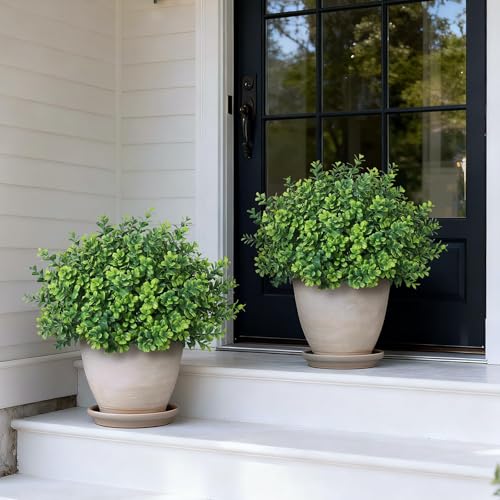 Artificial Boxwood Topiary Trees Set of 2 for Outdoor & Indoor Decor, 17 Inches