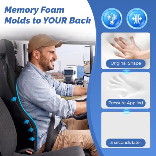 Dreamer Car Lumbar Support Pillow for Car - Memory Foam Whole Back Relief, 20.9 x 16.9 x 5.9 in