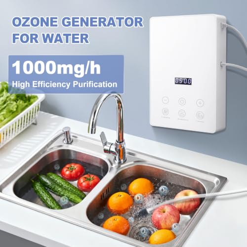 Ozone Generator for Water and Air Purification - White, 1000mg/h