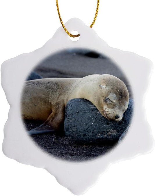 Galapagos Sea Lion Snowflake Ornament - 3DRose Ecuador Santiago Island Decor
