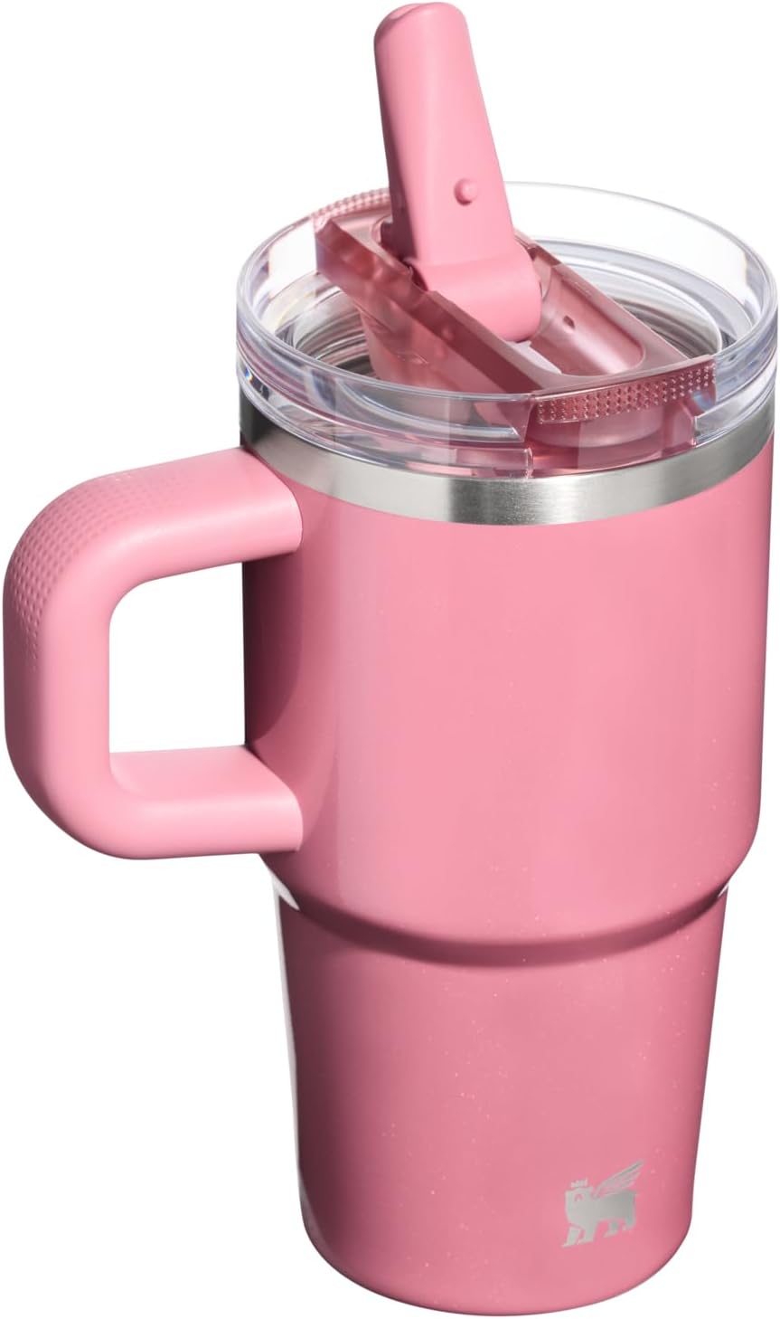 STANLEY Quencher ProTour 20 oz Tumbler - Leakproof Lid, Built-In Straw & Handle | Insulated, BPA-Free | Port Shimmer