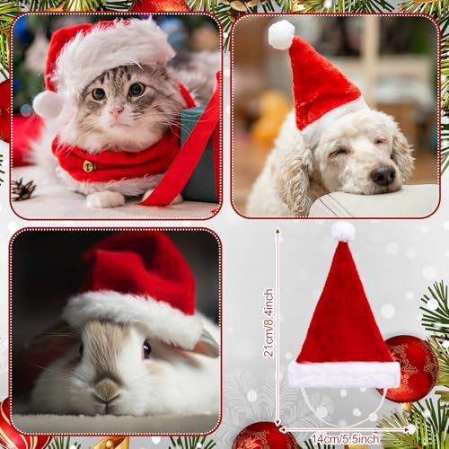 Christmas Chair Covers and Santa Hat Set for Pets & Adults - 28 Pieces