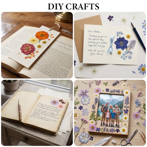420 Pcs Dried Pressed Flowers for Resin Crafts - Assorted Natural Flowers Set - Variation of THIS listing
