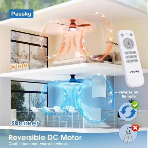 Passky 42 Inch Black Low Profile Ceiling Fan with Light Remote & Pull Chain