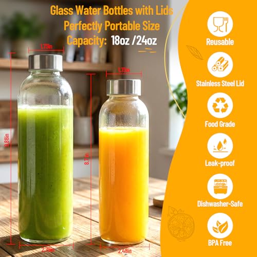 Luxfuel 10-Pack 18oz Clear Glass Water Bottles with Leak-Proof Stainless Steel Lids