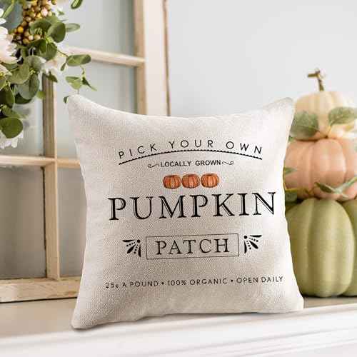 Fall Pumpkin Patch Throw Pillow Covers Autumn Harvest Pillow Case 20 x 20 Inch Farmhouse Decorations