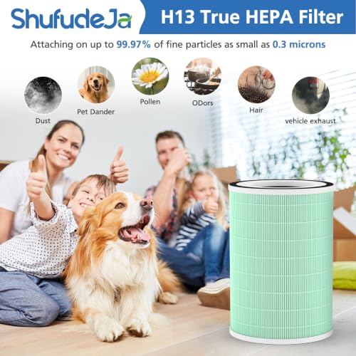 Pet Replacement Filter 2 Pack for Afloia KILO Air Purifier - Green Variation