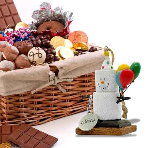 S¡¯More Birthday Ornaments for Christmas Tree, Desk, Shelf - Happy Birthday Ornaments Sweet 16