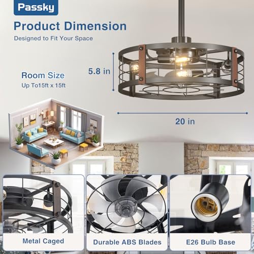 Black 20-Inch Caged Ceiling Fan with Lights and Remote Control