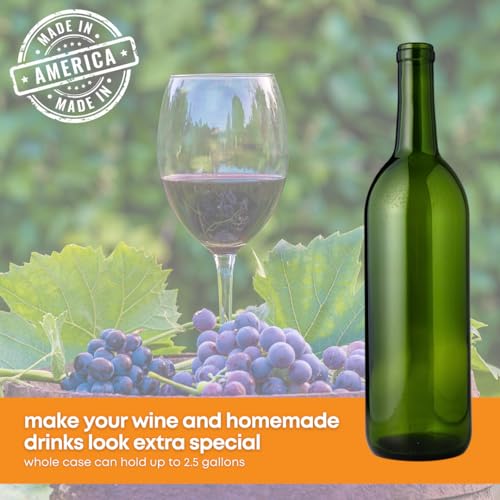 Green 750ml Wine Bottles - 12 Pack for Home Winemaking, No Corks Included