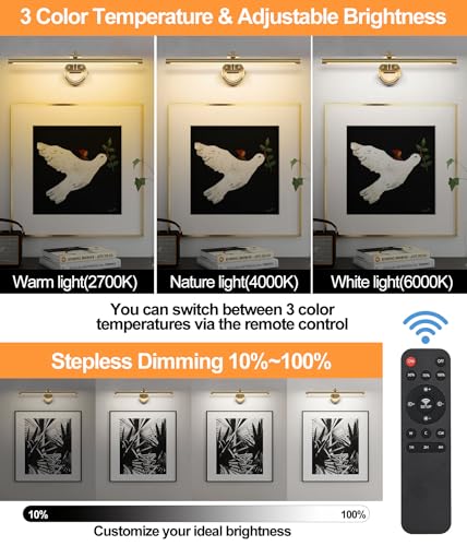 Rechargeable Brass Picture Light for Wall - 23.6 Inch Dimmable Art Sconce with Remote & Timer