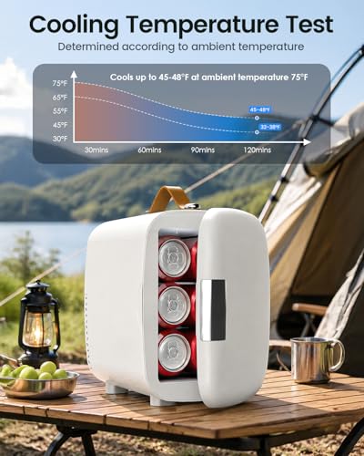 FANSEXPERT White Portable Mini Cosmetic Fridge 4L Skincare & Food Cooler & Warmer