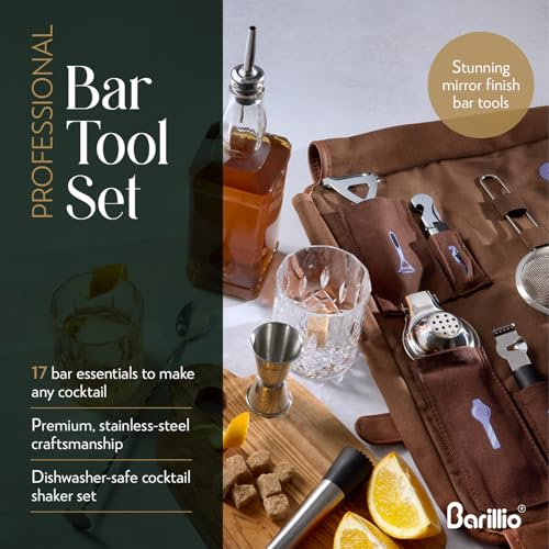 Travel Bartender Kit Bag with Cocktail Shaker Set - Brown & Silver, 17-Piece Portable Bar Tool Organizer