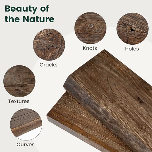 Walnut Live Edge Floating Shelves Set of 2 - 24 Inch Solid Elm Wall Shelves