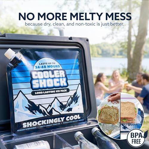 Reusable Ice Packs for Coolers - Add Water/Medium 4 Pack - Long Lasting Cold Freezer Packs for Camping, Fishing, Road Trips, Beach