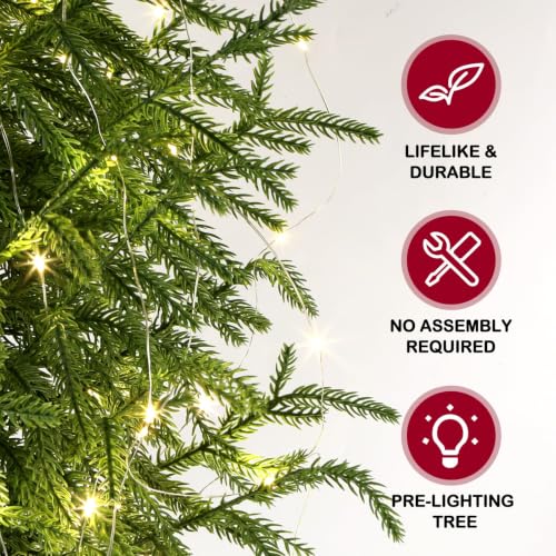 2FT ENVEN Norfolk Pine Christmas Tree - Prelit 30 LEDs, 8-Mode Battery Box, 1 Pack (2ft-1 Pack)