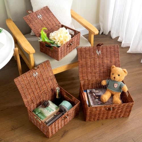 Natural Woven Wicker Storage Basket Set with Lids Handles - Nursery & Home Organizer
