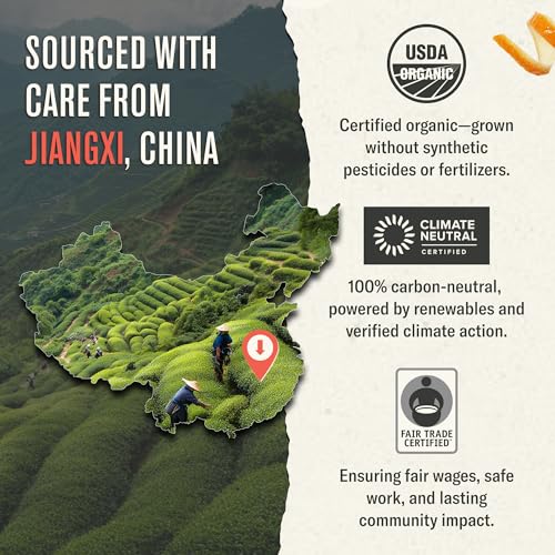 Organic Jasmine Green Tea Bags - Fair Trade, USDA Organic, 100 Count