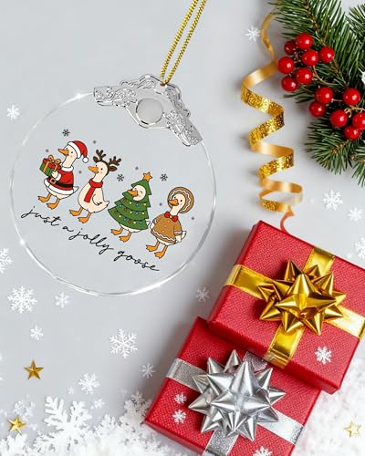Mvxopqu Funny Goose Ornament 2025 for Christmas Tree - Duck Keepsake Gift for Goose Lovers, Women & Girls, One Size