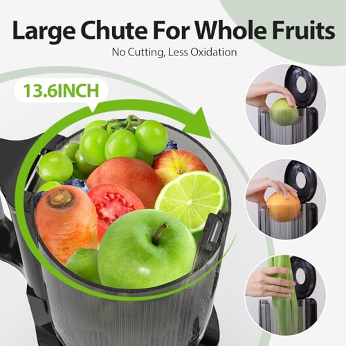 Aeitto Cold Press Juicer with Large Feed Chute - Pearl Grey, Medium