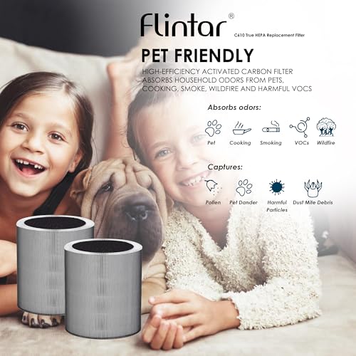 Replacement Air Purifier Filter Set for Winix C610 - 3-in-1 H13 HEPA & Activated Carbon - 2 Pack