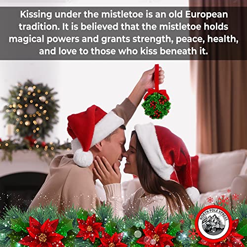 5" Glitter Mistletoe Kissing Ball Christmas Ornament - Hanging