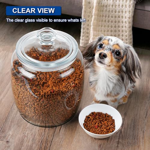 Large 2.5 Gallon Glass Storage Jar with Wide Mouth and Lid - Food & Kitchen