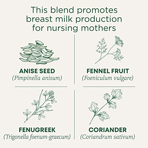 Organic Mother's Milk Lactation Tea - 16 Count Pack of 6, 96 Tea Bags - Herbal Support for Breastfeeding Mothers
