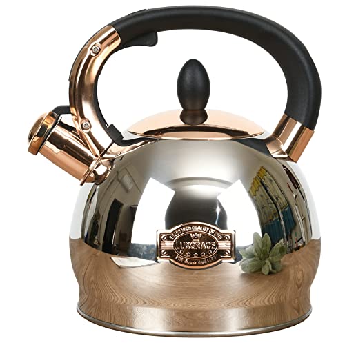 3 Quart Stainless Steel Whistling Tea Kettle with Metal Bottom - Silver