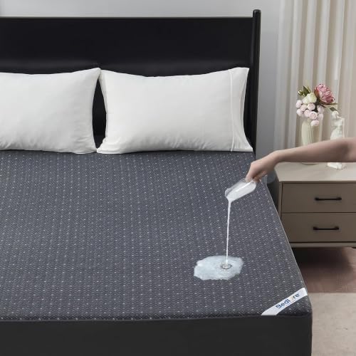 BEDLORE Gray Queen Waterproof Noiseless Mattress Protector for Bed