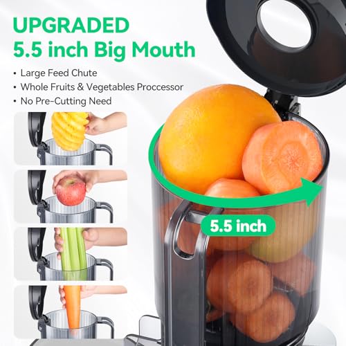 Cold Press Juicer with 5.5-Inch Feed Chute, Pulp Separation, Quiet Motor, BPA-Free