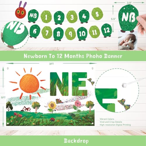Green Caterpillar 1st Birthday Decorations Kit with Balloons & Banners