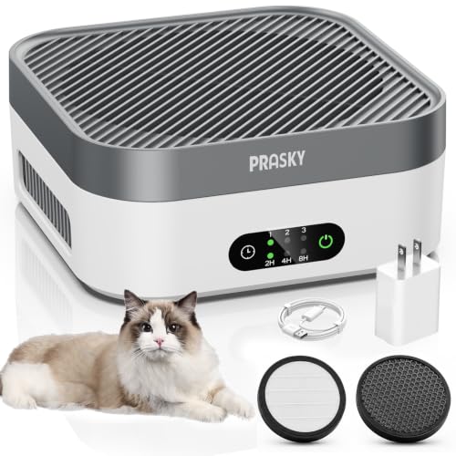 Prasky White Gray Air Purifier with 2 Filters, Quiet HEPA Car & Home Room Air Cleaner