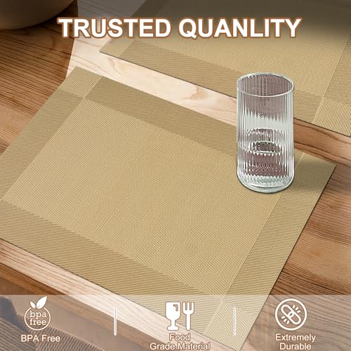 BETEAM Placemats Set of 12, Woven Vinyl Place Mats for Dining Table,