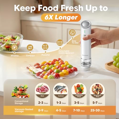 Bigwind Handheld Vacuum Sealer Kit with 45 Reusable Bags - Compact Food Saver