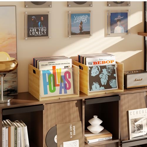 Vinyl Record Storage Box Set - 2 Pack Bamboo & Acrylic Crates for Albums & Magazines